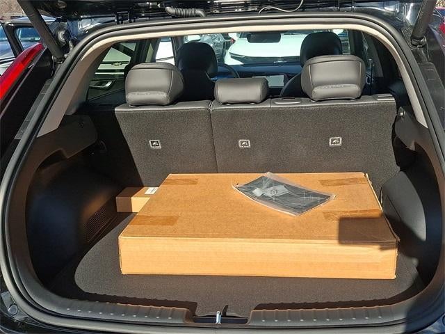 2025 Kia Niro EV Wind